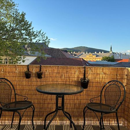 Zum Breyer Bnb City Apartment Baden Eksteriør bilde